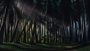 Nature, Trees, Art, Pine, Forest HD wallpaper