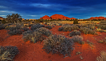 The needles district, national park, landscape, shrubs, rocks, sunset HD wallpaper