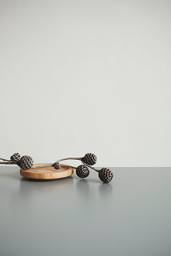 A minimalist display of pine cones on a grey surface with ample space for text. HD phone wallpaper