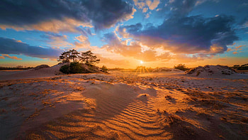 Stormy sunset at this huge sand area in the Netherlands called Kootwijkerzand, clouds, trees, landscape, sky, colors HD wallpaper