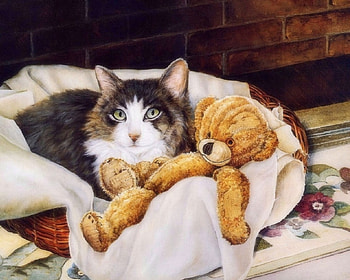 Cat with Bear, love four seasons, teddy bear, animals, cats, draw and paint, cute, paintings, lovely HD wallpaper