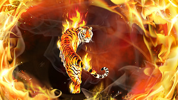 Flame Animals, Fire Tiger 02 Jpg, Animal , Fire Flames, 7015694 Tiger On Fire Jpg Fire HD wallpaper