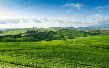 Green symphony, Nature's wonder, Serene landscapes, Scenic charm HD wallpaper