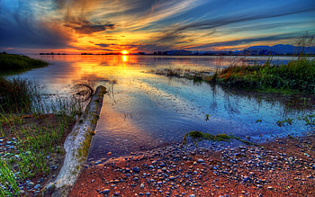 ENCHANTING SUNSET, plants, pebbles, sky, lake, sunset HD wallpaper
