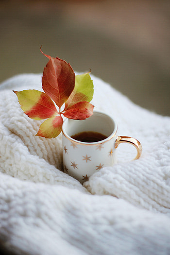 Miscellanea, Miscellaneous, Cup, Drink, Beverage, Leaflet, Tea HD phone wallpaper