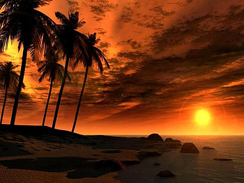 GORGEOUS VIEW OF SUN SETTING, setting, gorgeous, sunsetting, view, beautiful, sunset HD wallpaper