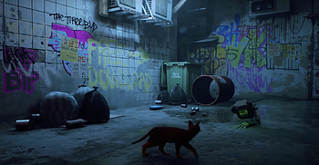 Stray game, Official gameplay walkthrough, Annapurna Studios, Urban stray HD wallpaper