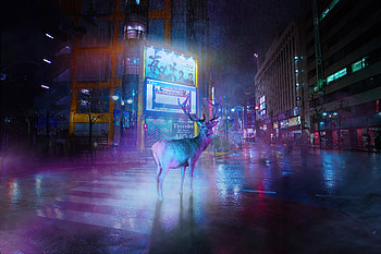 Lost Deer , deer, reindeer, artist, artwork, digital-art HD wallpaper