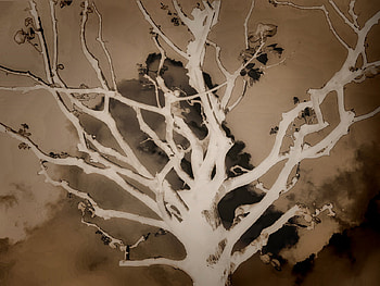 tree sepia, clouds, cool, sepia, colours, effect, tree HD wallpaper