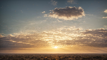 Desert, desert, sky, paint, painting, cactus HD wallpaper