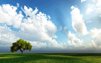 nature1, clouds, grass, tree HD wallpaper