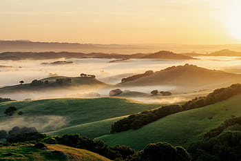 Peaceful rolling hills and fog at sunrise, capturing the serene beauty of nature. HD wallpaper