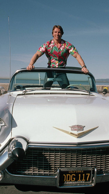 Arnold Schwarzenegger, Captivating , Originality, Iconic shot HD phone wallpaper