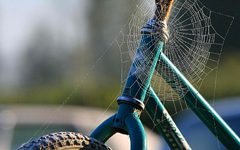 Web, Miscellanea, Miscellaneous, Wheel, Bicycle, Frame HD wallpaper