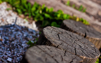 Background, Macro, Wood, Wooden, Stump, Penek, Macro graphy HD wallpaper