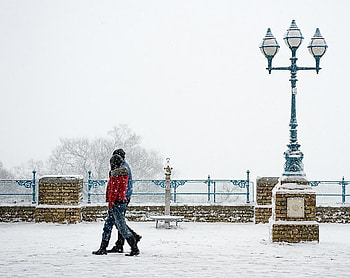 Winter, cold, white, snow, ice HD wallpaper