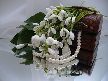 Flowers, Decorations, Snowdrops, Reflection, Mirror, Casket HD wallpaper
