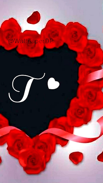T Letter, Red Rose, Heart HD phone wallpaper