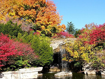 Resting Spot, falls, trees, sky, water HD wallpaper