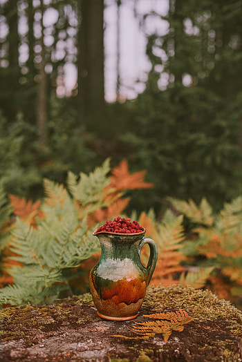 Nature, Food, Autumn, Raspberry, Berries, Jug HD phone wallpaper