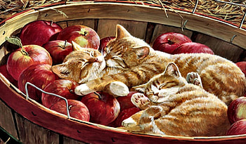 Apples and Oranges F, animal, art, feline, cat, basket, artwork, wide screen, apples, painting, bushel, pet HD wallpaper