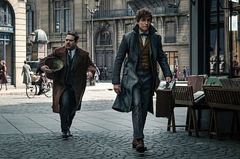 Fantastic Beasts, New HD wallpaper