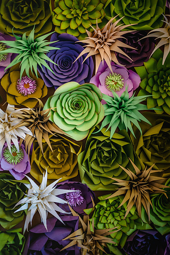 Colorful flowers, decoration HD phone wallpaper