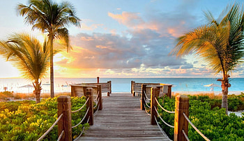 Amazing summer , Vibrant backgrounds, Sunny days, Nature's beauty HD wallpaper