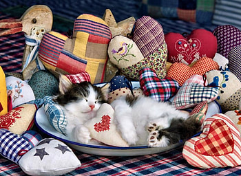 Patchwork Hearts - Cats F, animal, graphy, cats, feline, beautiful, kittens, wide screen, pets HD wallpaper