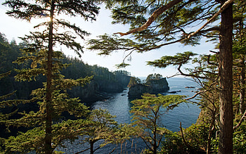 Cape Flattery, Washington, coast, sea, pacific, trees, sky, rocks, usa HD wallpaper