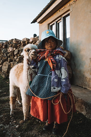 Young girl in traditional clothing with a llama, captured outdoors in a rural setting. HD phone wallpaper