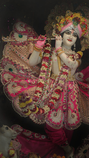 Krishna Darshan, Vrindavan, love, Spiritual, mahadev, Radha HD phone wallpaper