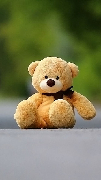 Cute Teddy, Nature, Background, road HD phone wallpaper