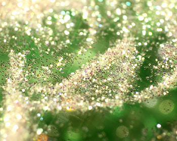 Gold Gemstones on Green, on green, jewels, gemstones, gold HD wallpaper