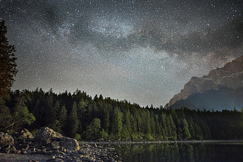 Lake, trees, starry night, nature HD wallpaper