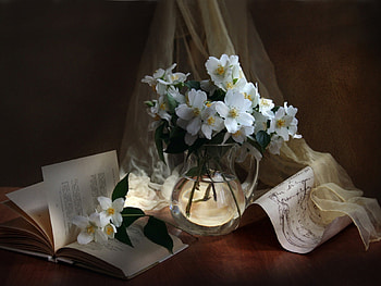 Veiled In Silk, book, light, vase, flowers, lace, water HD wallpaper