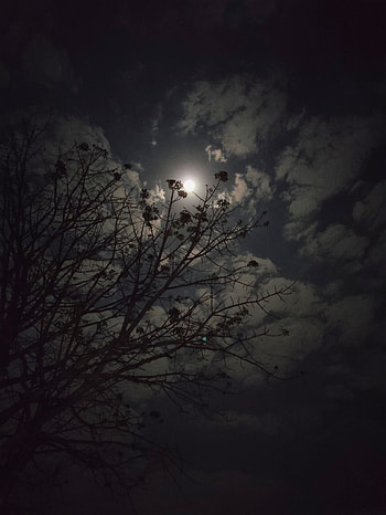 Moon, cloud, moonlight, night HD phone wallpaper