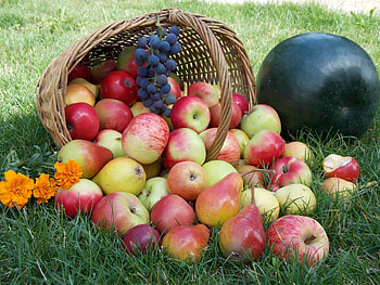 Food, Grass, Apples, Basket HD wallpaper