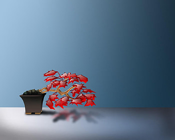 Flower aqua art, abstract, flower HD wallpaper