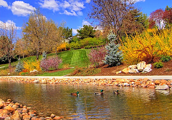 botanic_spring, cool, botanic-spring HD wallpaper