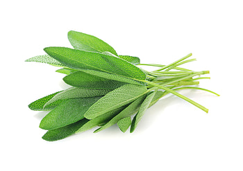 Alternatives to sage leaves, Substitutes in recipes, Culinary herb options, Flavor replacements HD wallpaper