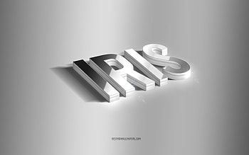 Iris, silver 3d art, gray background, with names, Iris name, Iris greeting card, 3d art, with Iris name HD wallpaper