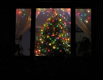 Christmas is coming, people, fun, family, entertainment HD wallpaper