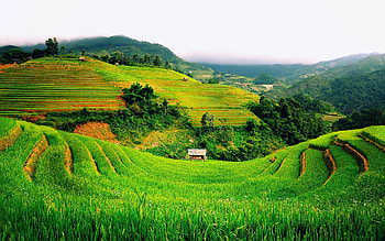 Vietnam, , Breathtaking background, Tranquil ambiance HD wallpaper