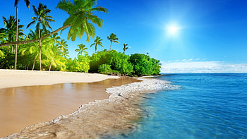 Hawaiian Beach, sea, palms, sky, sun HD wallpaper