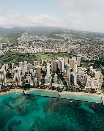Chamber of Commerce Hawaii, Business resources, Economic development, Member services HD phone wallpaper