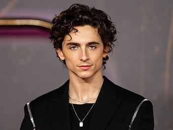 Hollywood Actor in Suit, Celebrity, Timothée Chalamet HD wallpaper