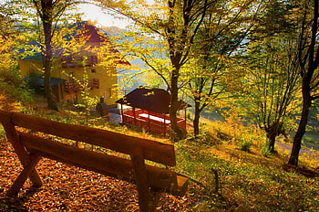 Autumn rest, rays, sunny, glow, peaceful, relax, serenity, all, nice, trees, autumn, seat, calm, bench, slope, mill, house, beautiful, grass, falling, rest, leaves, branches, nature, lovely, forest, foliage HD wallpaper
