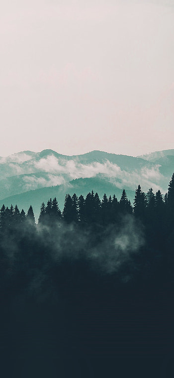 Mountain fog, Nature view, Wood forest, Blue HD phone wallpaper