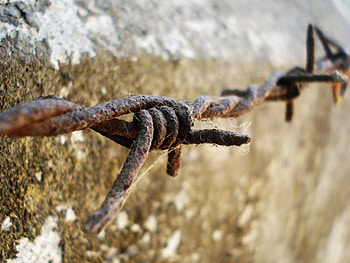 Wire, abstract, graphy, rust HD wallpaper
